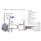 TERMOCAMINO 35 KW LEGNA CON PRODUZIONE ACQUA SANITARIA DIRETTA PORTA SALISCENDI (GIRARROSTO OPTIONAL)
